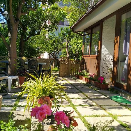 Villino L'Aranceto Sorrentino Bed & Breakfast Meta Ngoại thất bức ảnh