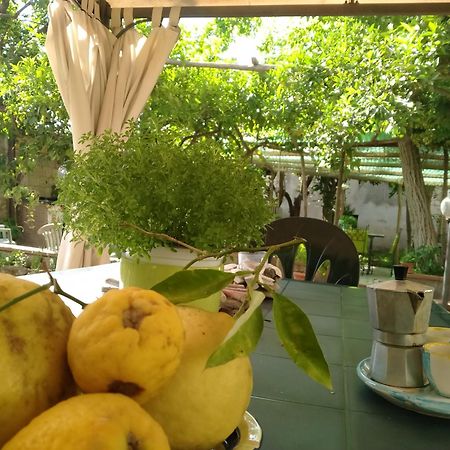 Villino L'Aranceto Sorrentino Bed & Breakfast Meta Ngoại thất bức ảnh