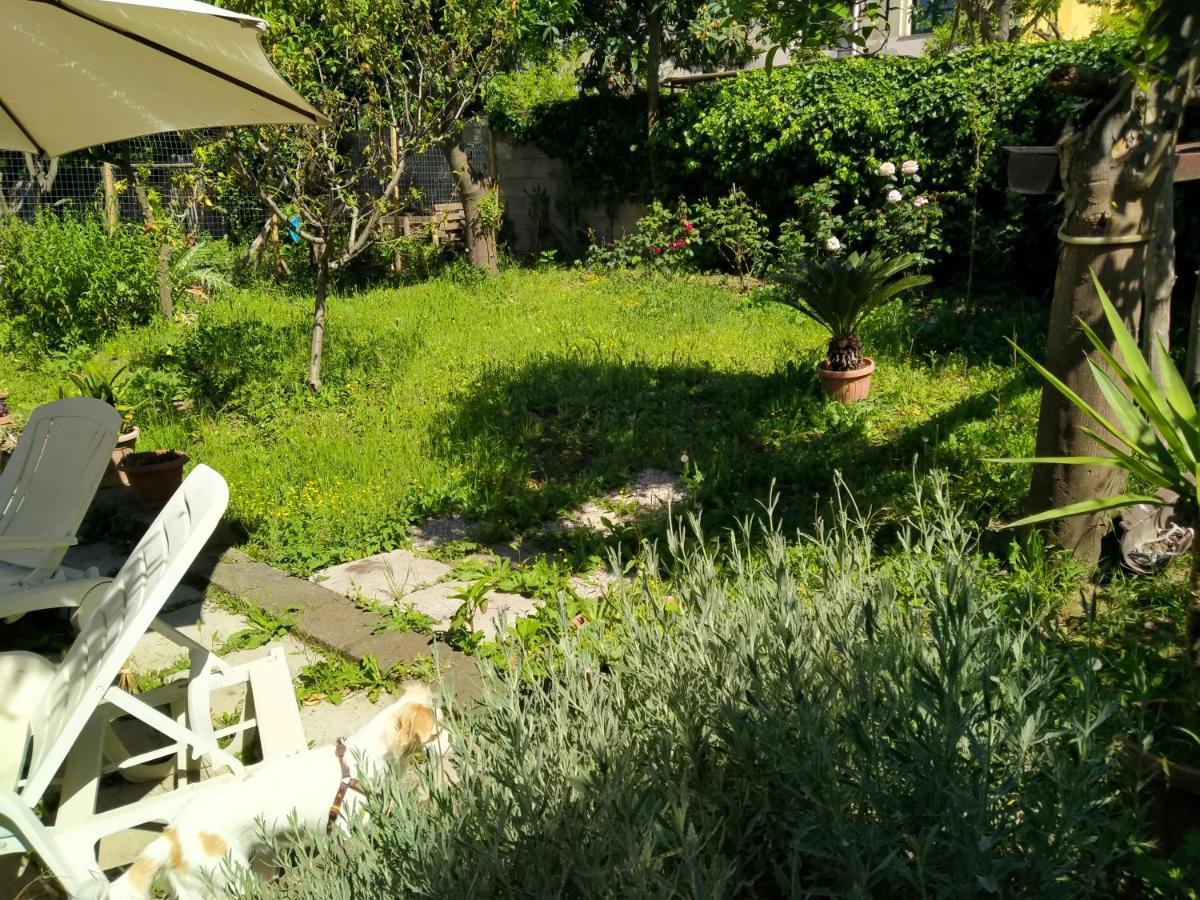 Villino L'Aranceto Sorrentino Bed & Breakfast Meta Ngoại thất bức ảnh