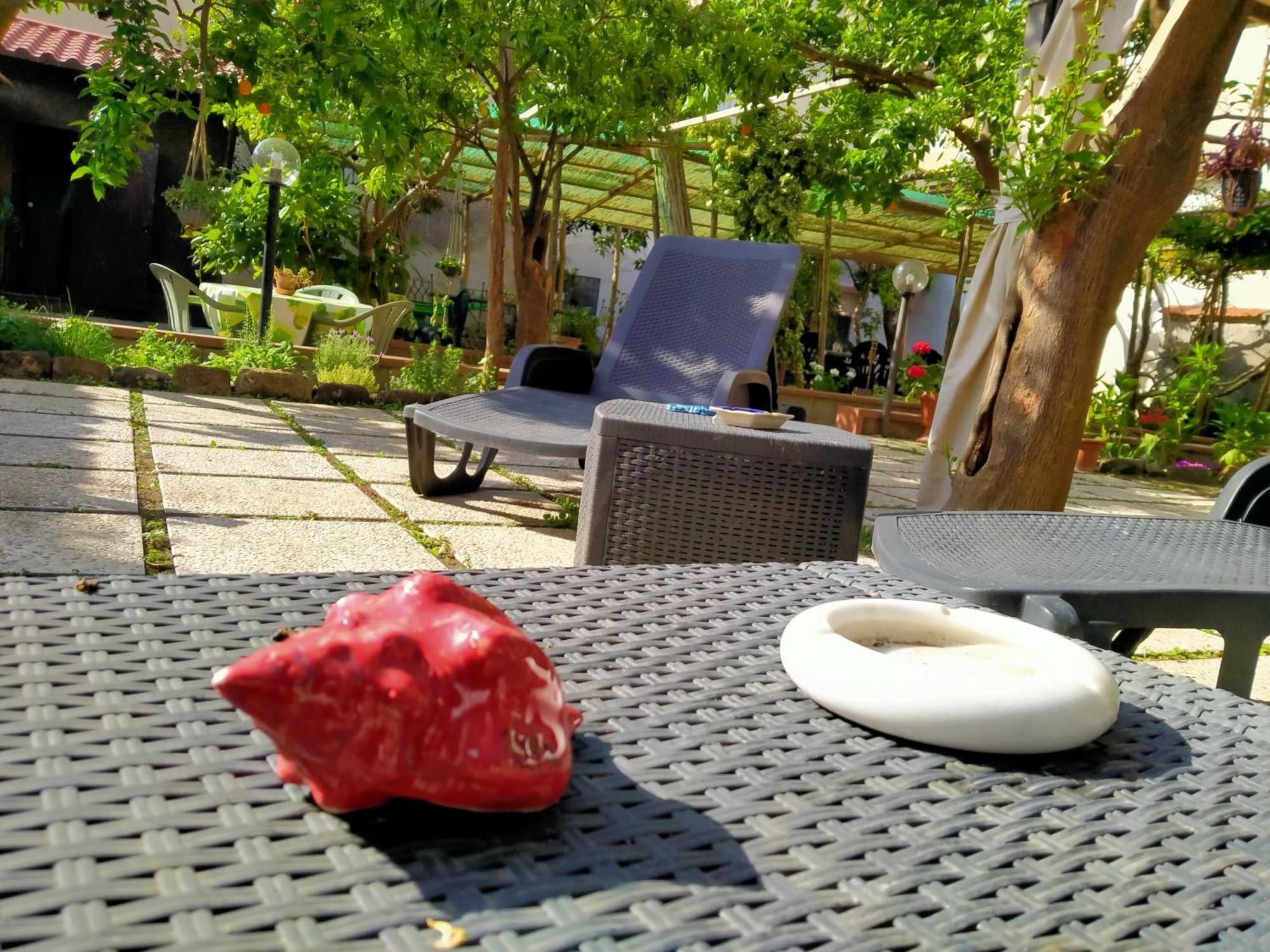 Villino L'Aranceto Sorrentino Bed & Breakfast Meta Ngoại thất bức ảnh