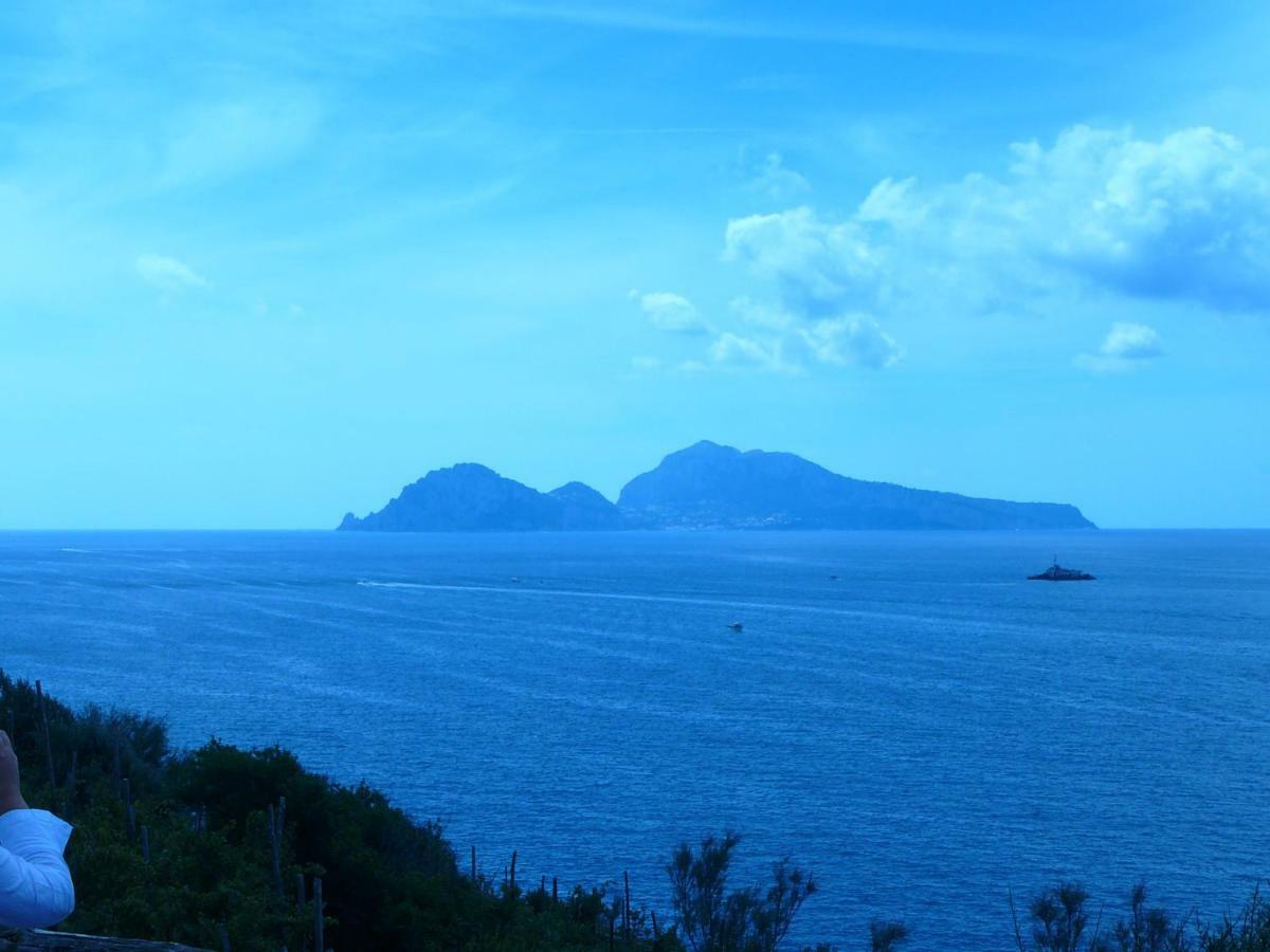 Villino L'Aranceto Sorrentino Bed & Breakfast Meta Ngoại thất bức ảnh
