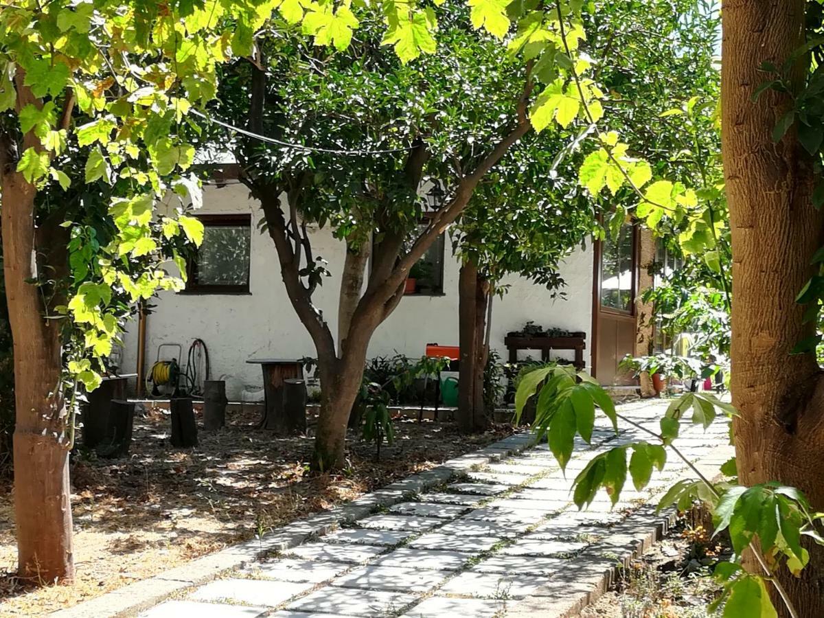 Villino L'Aranceto Sorrentino Bed & Breakfast Meta Ngoại thất bức ảnh