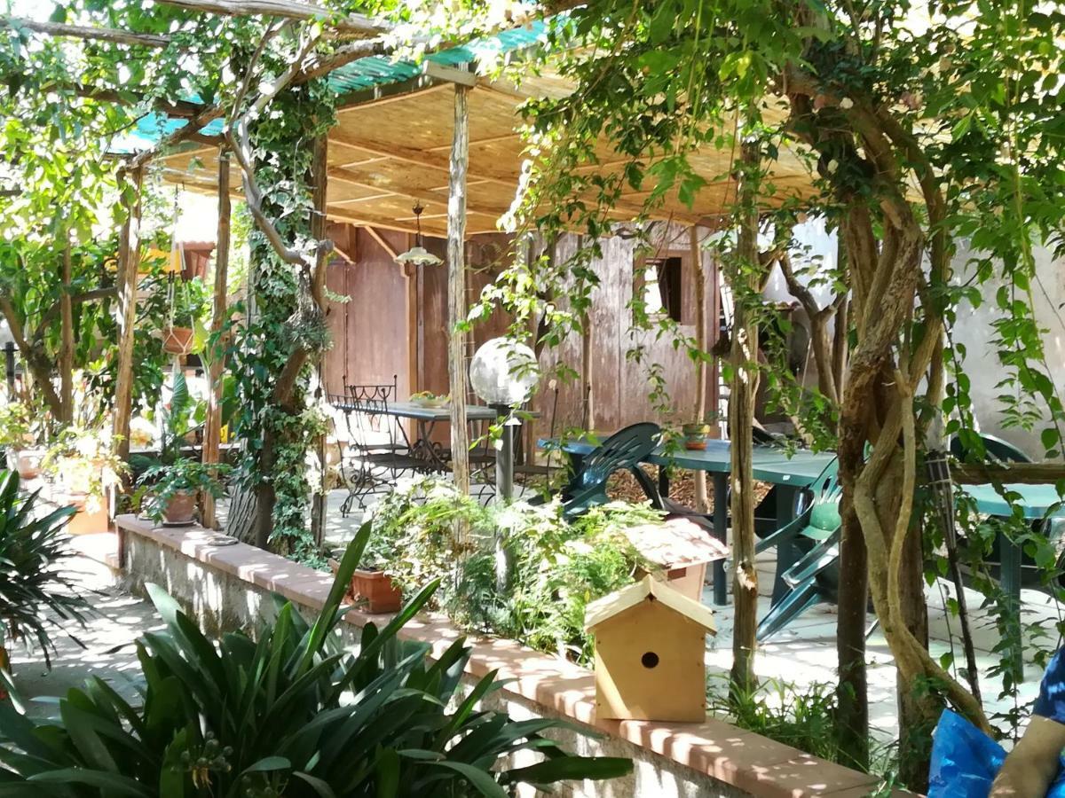 Villino L'Aranceto Sorrentino Bed & Breakfast Meta Ngoại thất bức ảnh