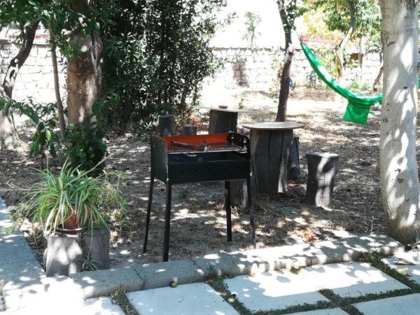 Villino L'Aranceto Sorrentino Bed & Breakfast Meta Ngoại thất bức ảnh
